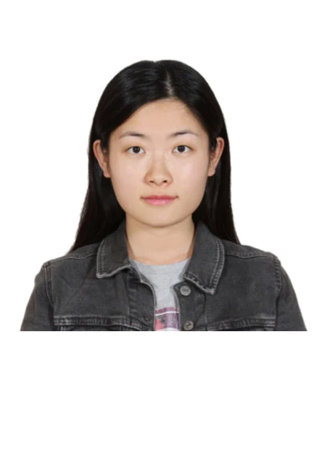 Prof. Junyan Liu